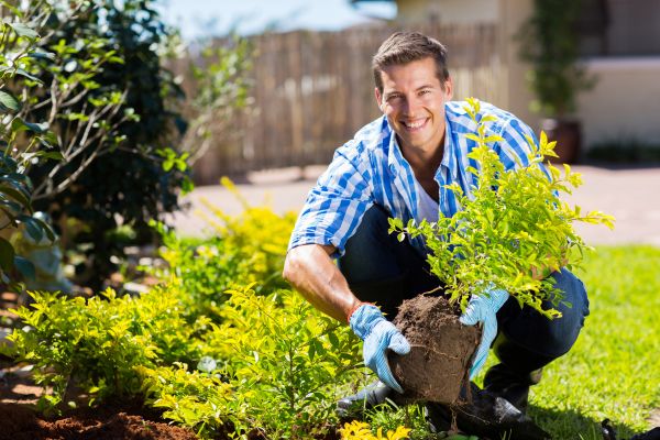 Bush Planting Service in Pewaukee