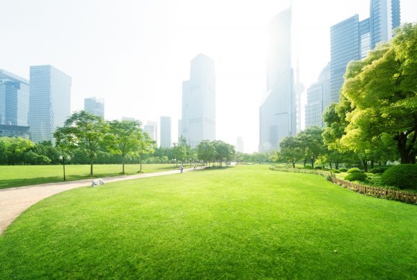 Commercial Landscape Maintenance in Pewaukee