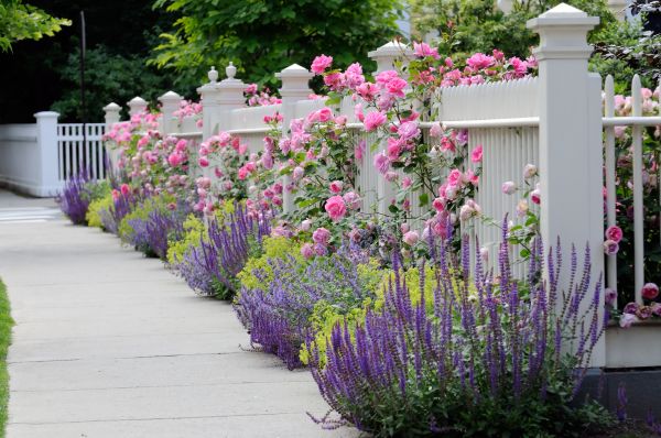 Garden Handyman Service in Pewaukee