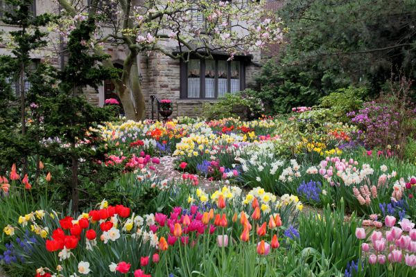 Garden Maintenance Service in Pewaukee