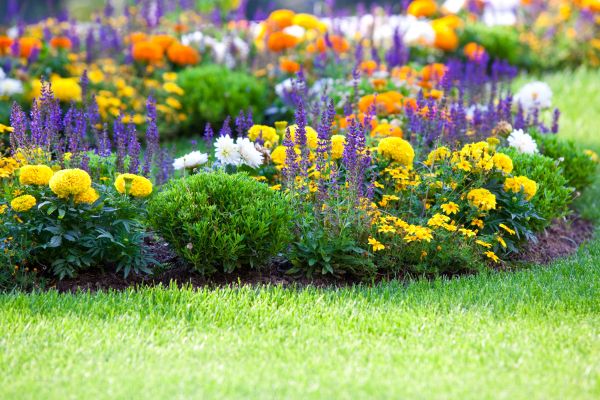 Garden Installation in Pewaukee