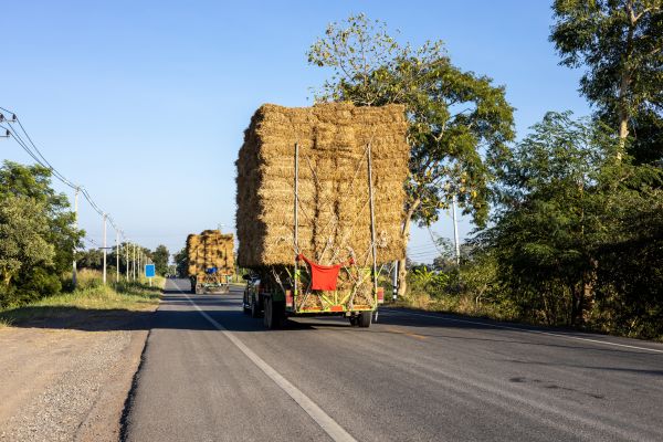 Pine Straw Delivery in Pewaukee