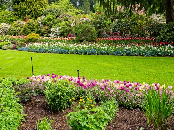 Residential Landscape Design in Pewaukee