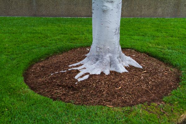 Brown Mulch Installation in Pewaukee