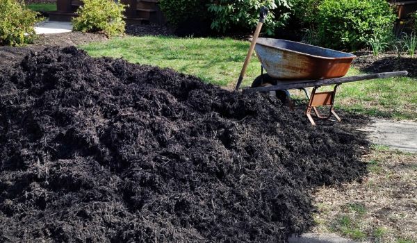 Black Mulch Installation in Pewaukee