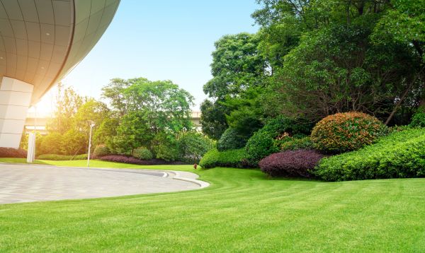 Business Landscape Design in Pewaukee
