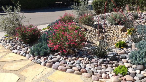 Xeriscape Landscaping in Pewaukee