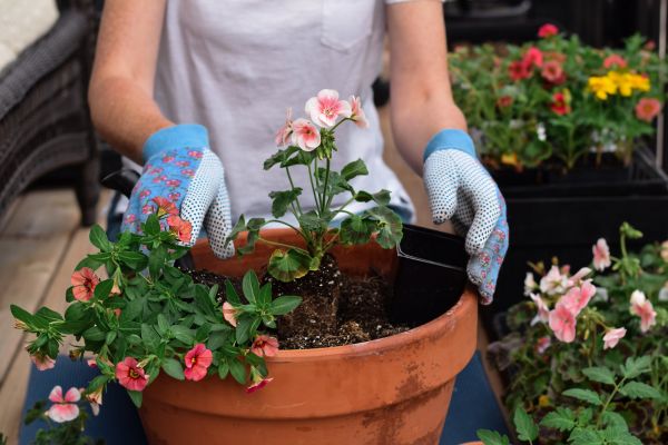 Plant Care Service in Pewaukee
