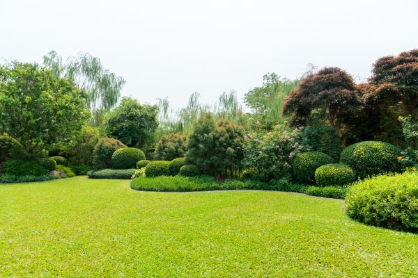 Tree Landscaping in Pewaukee