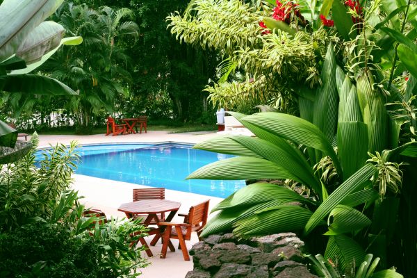 Tropical Garden Landscaping in Pewaukee