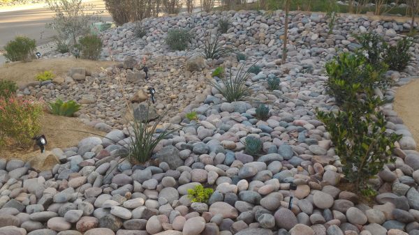 Yard Xeriscaping in Pewaukee