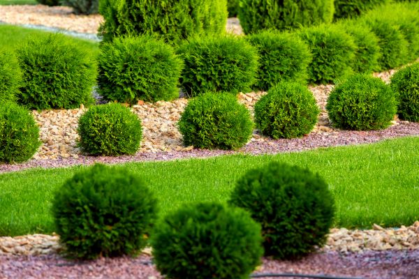 Bush Replacement in Pewaukee