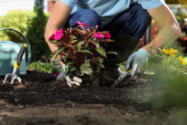 Plant Replacement in Pewaukee