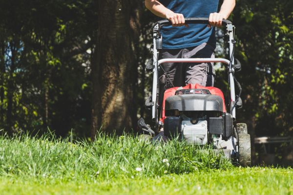 Garden Trimming Service in Pewaukee