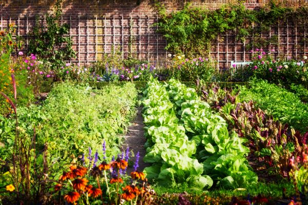 Garden Planting Service in Pewaukee