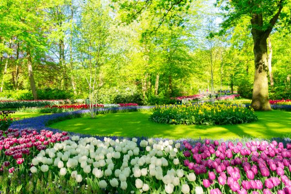 Flower Landscaping in Pewaukee