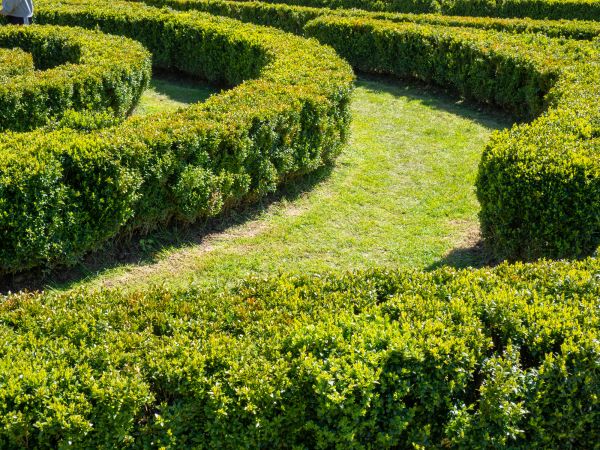 Bush Landscaping in Pewaukee