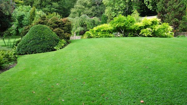 Commercial Landscape Design in Pewaukee