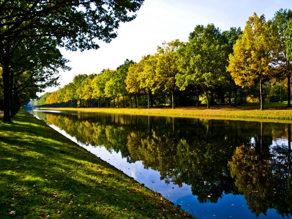 Bank Landscaping in Pewaukee