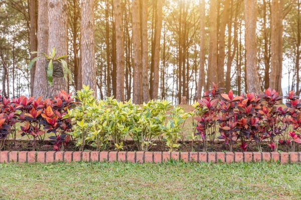 Small Garden Landscaping in Pewaukee