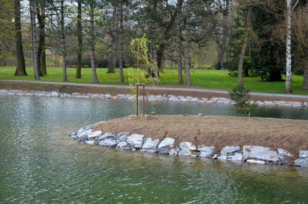 Pond Landscaping Service in Pewaukee