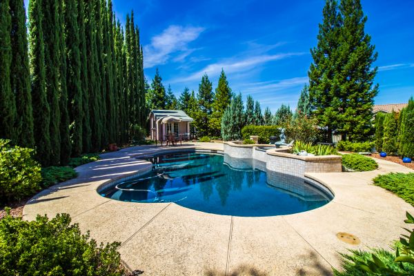 Outdoor Pool Landscaping