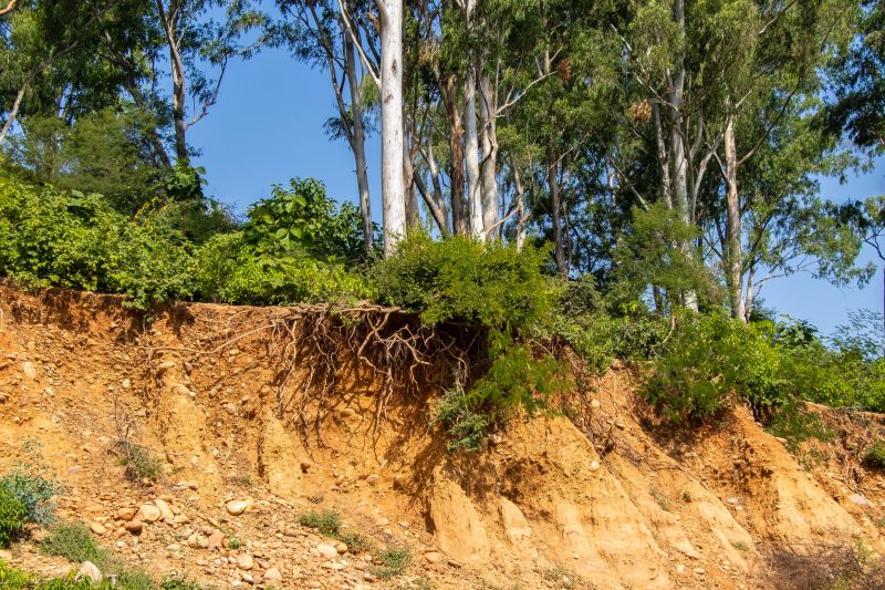 Erosion Control Service
